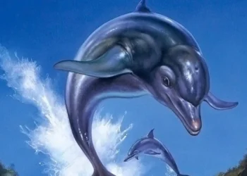 Ecco the Dolphin Complete معرفی شد؛ بازگشت کلاسیک با ریمسترها و بازی جدید