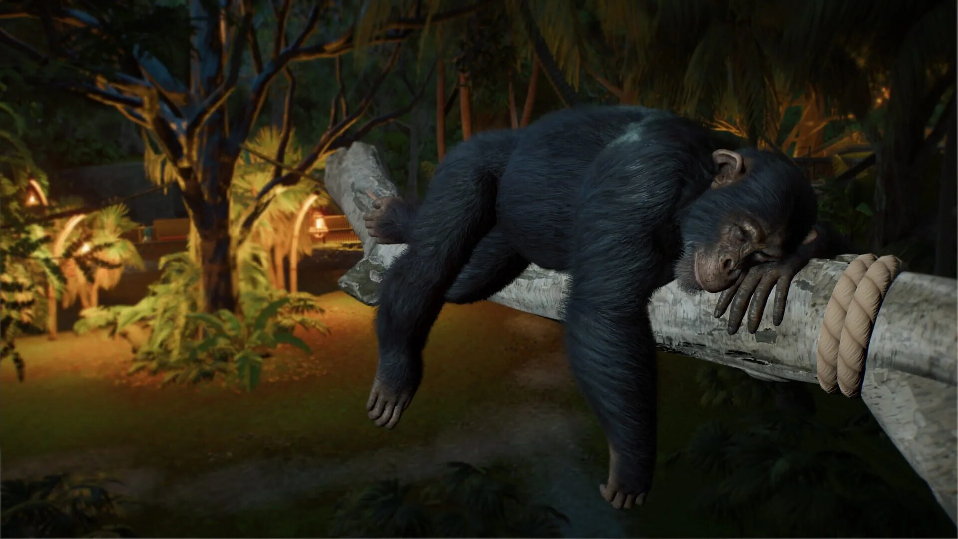 Planet Zoo 2 روی رایانه و کنسول‌ها؛ مدیریت حیات‌وحش با آکواریوم و زیستگاه پرندگان